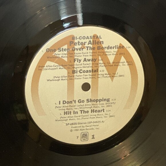 Peter Allen Bi-Coastal (Vinyl, 1973, 2x LP) A&M Records SP-4825 VG+ LP Record - Picture 7 of 9